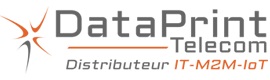 dataprint logo