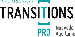 logotransitionspro.jpg