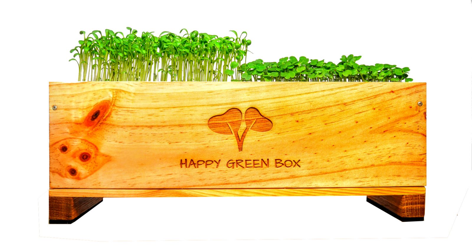 potager Happy Green Box