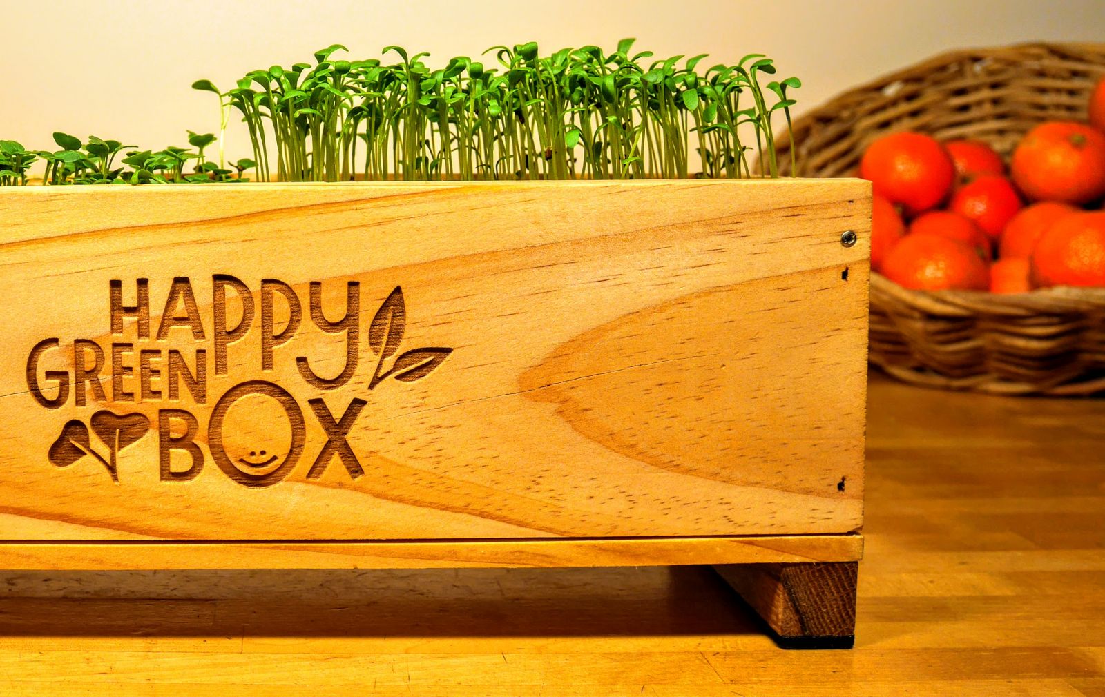 happy green box potager